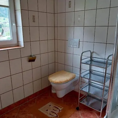 Apartment Dorfblick In Dorfgastein